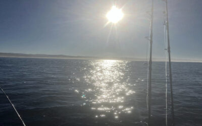 Exploring the Historic Yaquina Bay